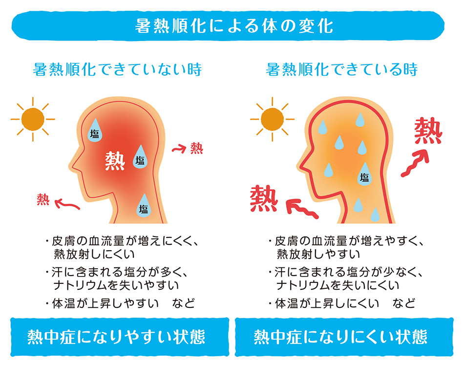 ビタミンC、クエン酸