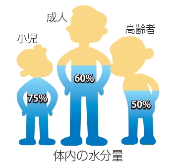 体内の水分量